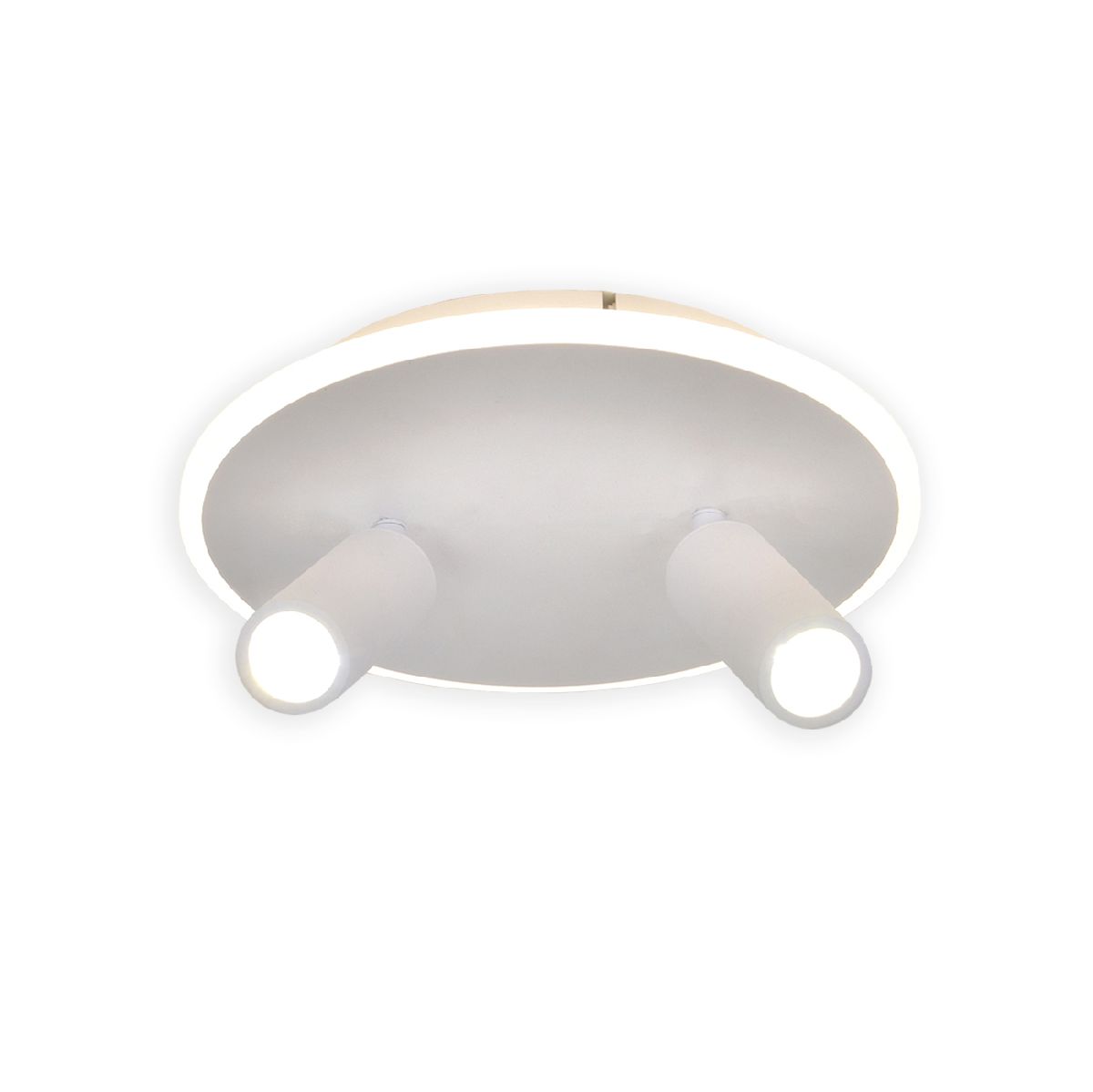 Настенно-потолочный светильник Escada 20046SMA/02LED WH Настенно-потолочный светильник Escada 20046SMA/02LED WH