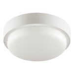 Настенно-потолочный светильник Wolta LCL04-12W-R11-6K-SOA