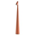 Настольная лампа Arte Lamp Fusion A3283LT-2BR
