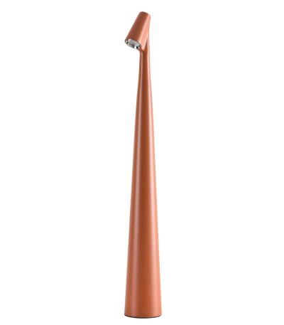 Настольная лампа Arte Lamp Fusion A3283LT-2BR