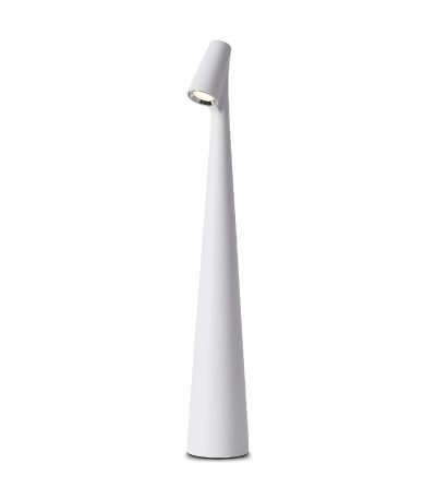 Настольная лампа Freya Clam FR6188TL-L3W