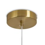 Подвесной светильник Freya Sabi FR6131PL-L10BS