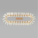 Подвесная люстра Bogates Farfalla 90376/1 a065731