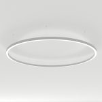 Подвесной светильник Arlight SP-Line-Hang-Arc-O3535-D1500-124W Day4000 034013(2)