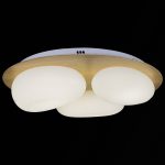 Потолочная люстра Reluce 10009-0.3-60W AEROLITE