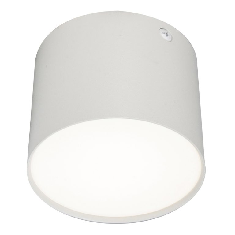 Потолочный светильник 20004 20004SMU/01LED SWH