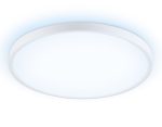 Потолочный светильник Ambrella Light Orbital Air FZ3005