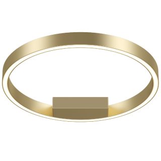 Потолочный светильник Maytoni Rim MOD058CL-L25BSK