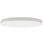 Потолочный светильник Zortes Tortty ZRS.02565.120