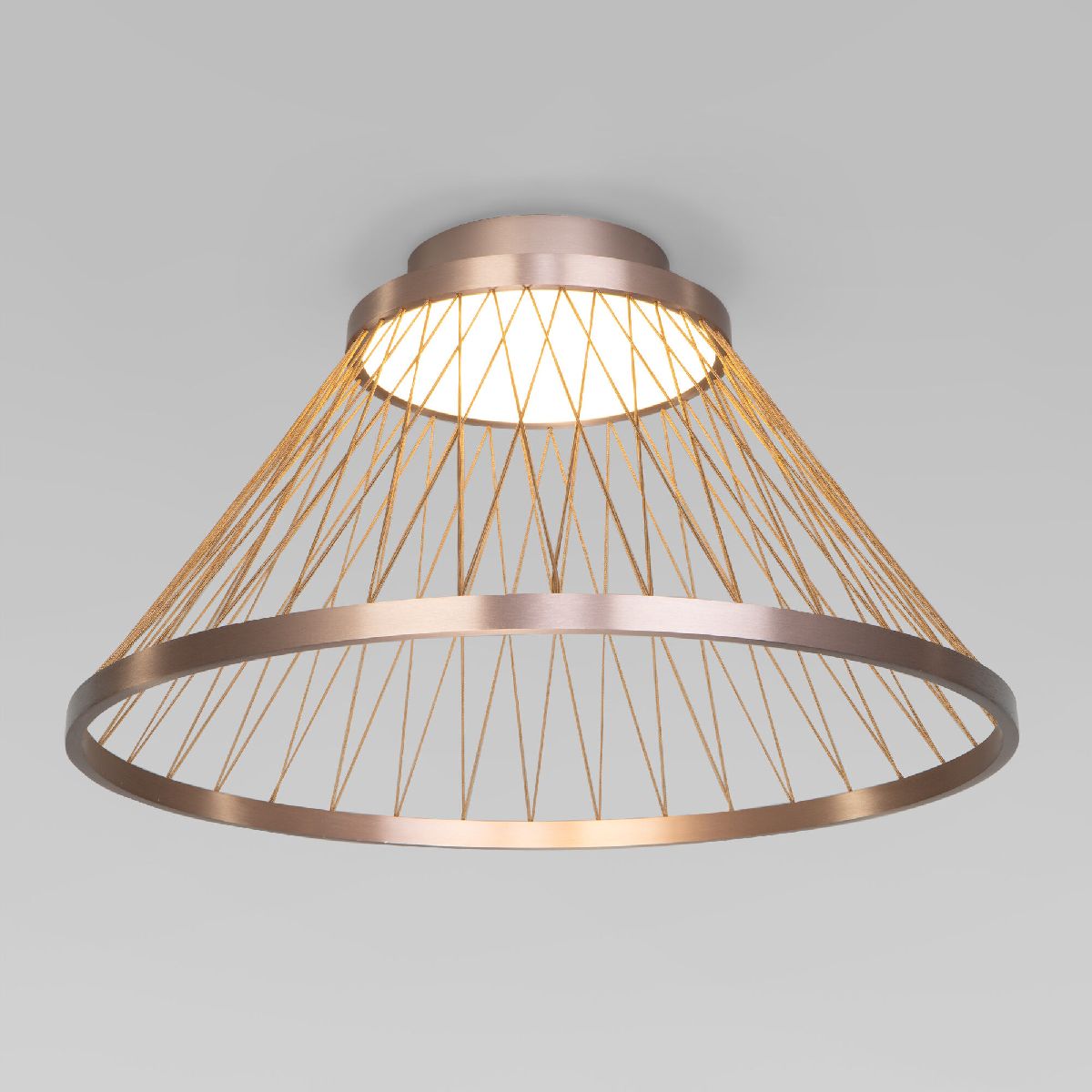 Потолочная люстра Eurosvet Cesta 40019/1 LED коричневый a069291 Потолочная люстра Eurosvet Cesta 40019/1 LED коричневый a069291