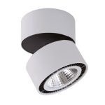 Потолочный светодиодный светильник Lightstar Forte Muro 213830