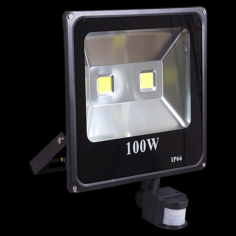 Прожектор Reluce 54100-0.2-001QY LED100W+SENSOR BK Прожектор Reluce 54100-0.2-001QY LED100W+SENSOR BK
