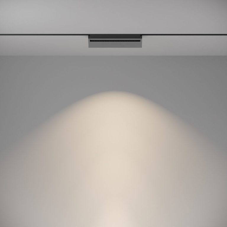 Трековый светильник Maytoni Track lamps TR013-2-20W4K-B