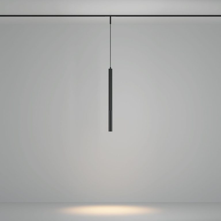 Трековый магнитный светильник Maytoni Focus Led TR179-1-5WTW-M-B