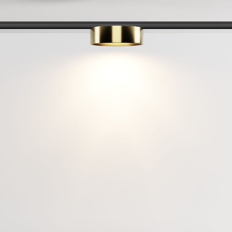 Трековый магнитный светильник Maytoni Zon TR189-1-12W3K-BBS