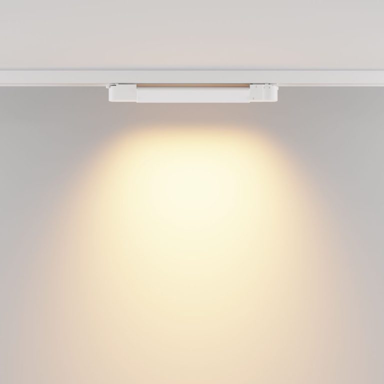 Трековый трехфазный светильник Maytoni Basis TR196-3-10W2.7K-W