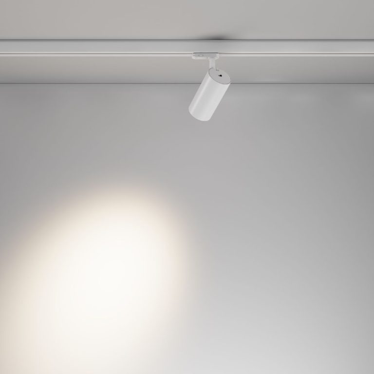 Трековый трехфазный светильник Maytoni Focus Led TR197-3-20WCCT-M-W