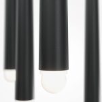 Подвесная люстра Maytoni Cascade MOD132PL-L30BK