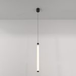 Подвесной светодиодный светильник Maytoni Technical Ray P022PL-L20B3K