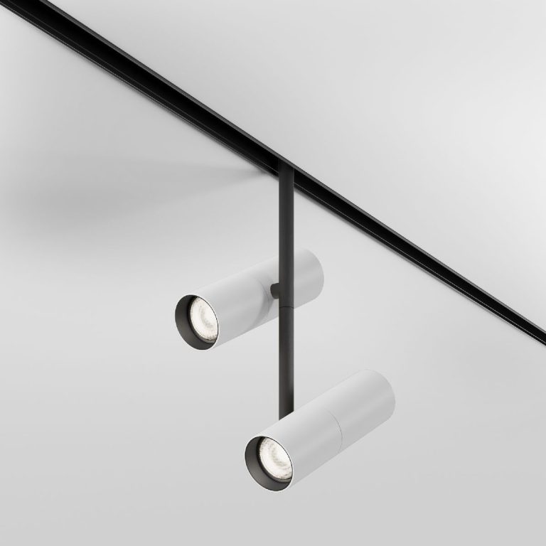 Трековый магнитный светильник Maytoni Elti Duo TR005-4-2X12W-DS-BW