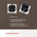Комплект розетки с/з и шторками + USB и рамкой Arte Milano SET06-1-47-1 silver