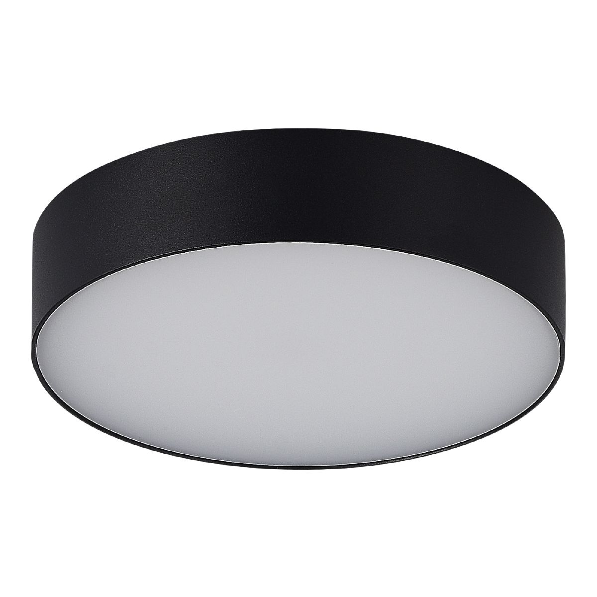 Уличный потолочный светильник ST Luce Sun SL9518.402.01 Уличный потолочный светильник ST Luce Sun SL9518.402.01