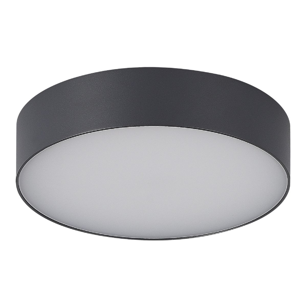 Уличный потолочный светильник ST Luce Sun SL9518.702.01 Уличный потолочный светильник ST Luce Sun SL9518.702.01