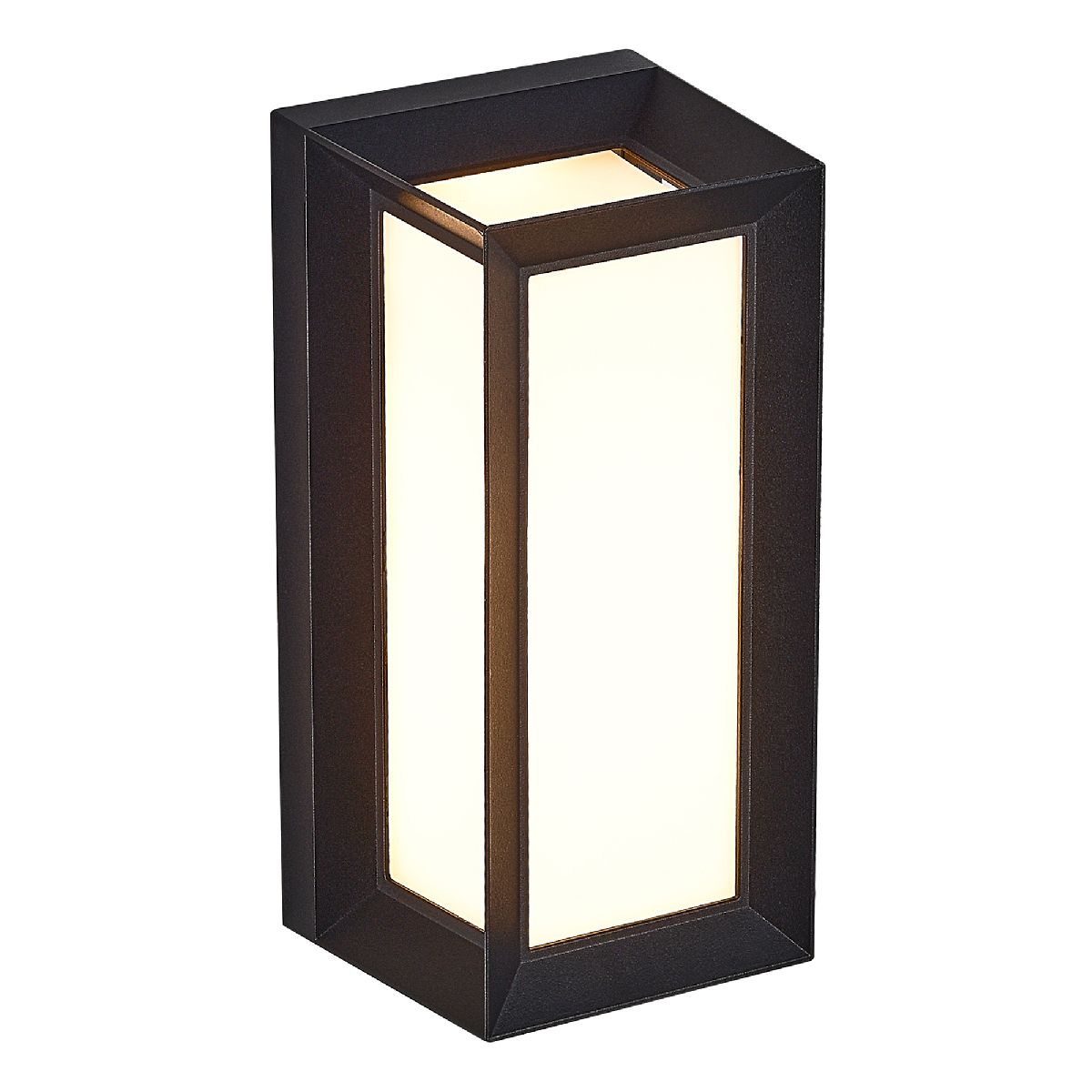 Фасадный светильник ST Luce Combo SL9533.401.01 Фасадный светильник ST Luce Combo SL9533.401.01
