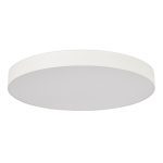 Потолочный светильник ST Luce ST601.542.18