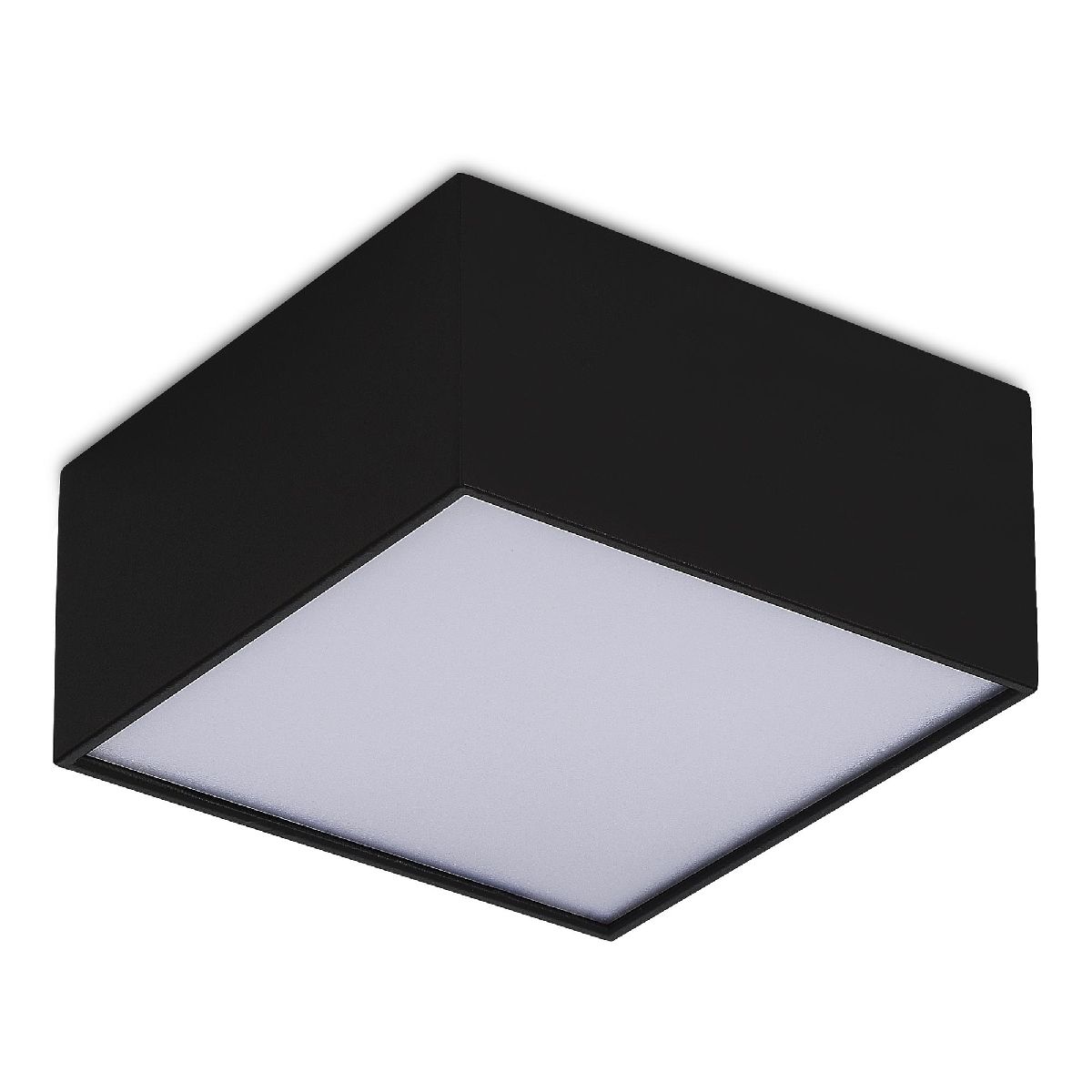 Потолочный светильник ST Luce ST608.442.12 Потолочный светильник ST Luce ST608.442.12