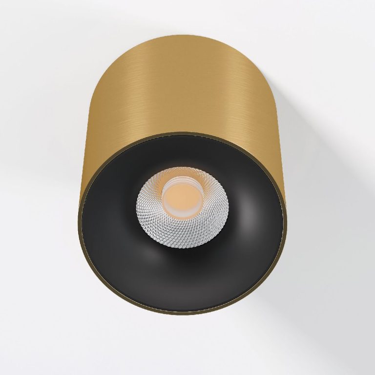 Накладной светильник Elektrostandard Primo 25116/LED 4690389212987 a069414