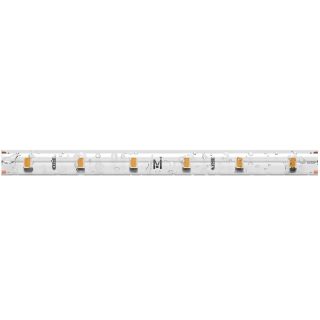 Светодиодная лента Maytoni Led Strip 24В 2835 4,8Вт/м 3000К 5м IP65 201013