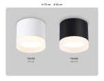 Накладной светильник Ambrella Light Acrylic Frost TN5366