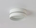 Накладной светильник Ambrella Light IP Protect TN5391