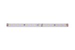 Светодиодная лента DesignLed DSG298-24-NW-33 000526