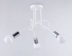 Потолочная люстра Ambrella Light Loft TR80414