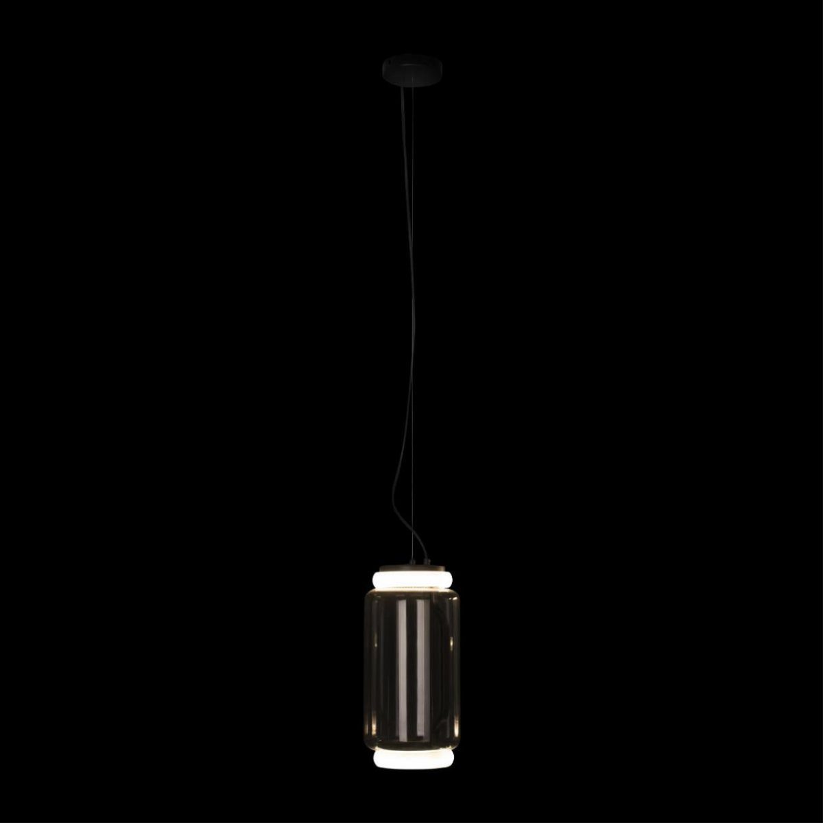 Подвесной светильник Loft IT Noctambule 10194/S Подвесной светильник Loft IT Noctambule 10194/S
