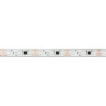 Светодиодная герметичная лента Arlight SPI-PFS-B60-12mm 12V RGB-PX3-BPT (12 W/m, IP68, 5060, 5m) 039177