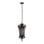 Уличный подвесной светильник Loft IT Tremezzo 100019P BS