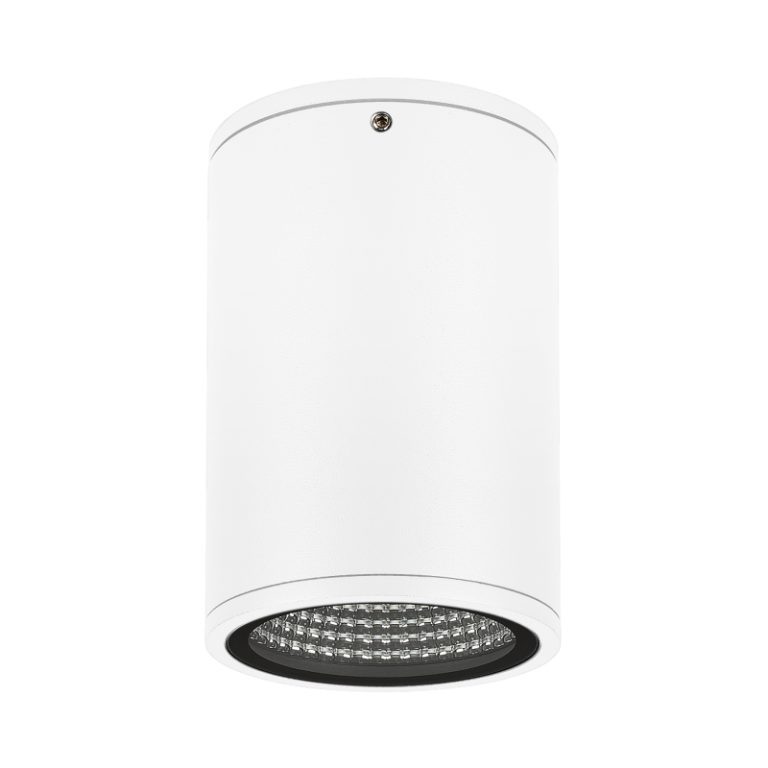 Уличный потолочный светильник Arlight LGD-Forma-Surface-R90-12W Day4000 037259