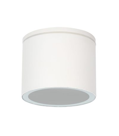 Уличный потолочный светильник Arte Lamp Piautos A1913PF-1WH