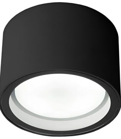 Уличный потолочный светильник Elektrostandard Light 4690389180835