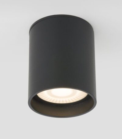 Уличный потолочный светильник Elektrostandard Light LED 4690389176968