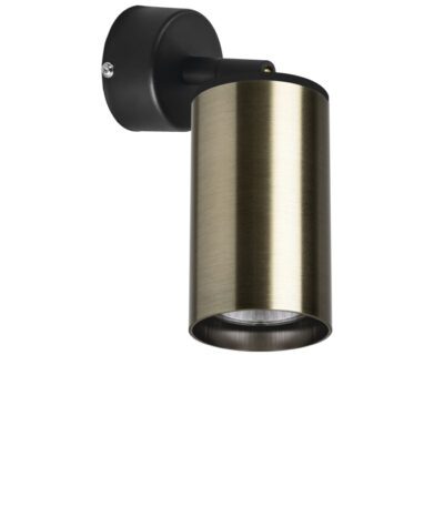 Встраиваемый спот Lightstar Rullo RB431 (214431+590007)