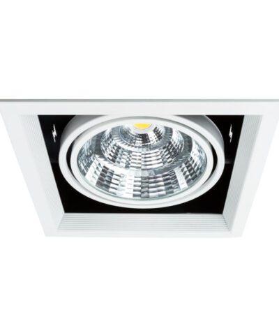 Встраиваемый светильник Arte Lamp Merga A8450PL-1WH