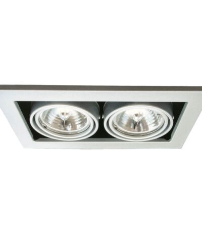 Встраиваемый светильник Arte Lamp Technika A5930PL-2SI
