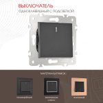 Выключатель одноклавишный с подсветкой Arte Milano 203.31-1.black