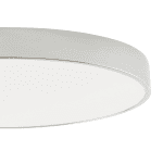 Потолочный светильник Zortes Tortty ZRS.02565.96