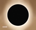 Настенный светильник Italline IT02-017 black