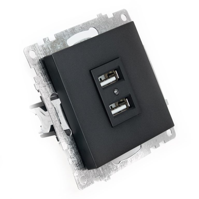 Розетка USB 2-местная Stekker Катрин 39616